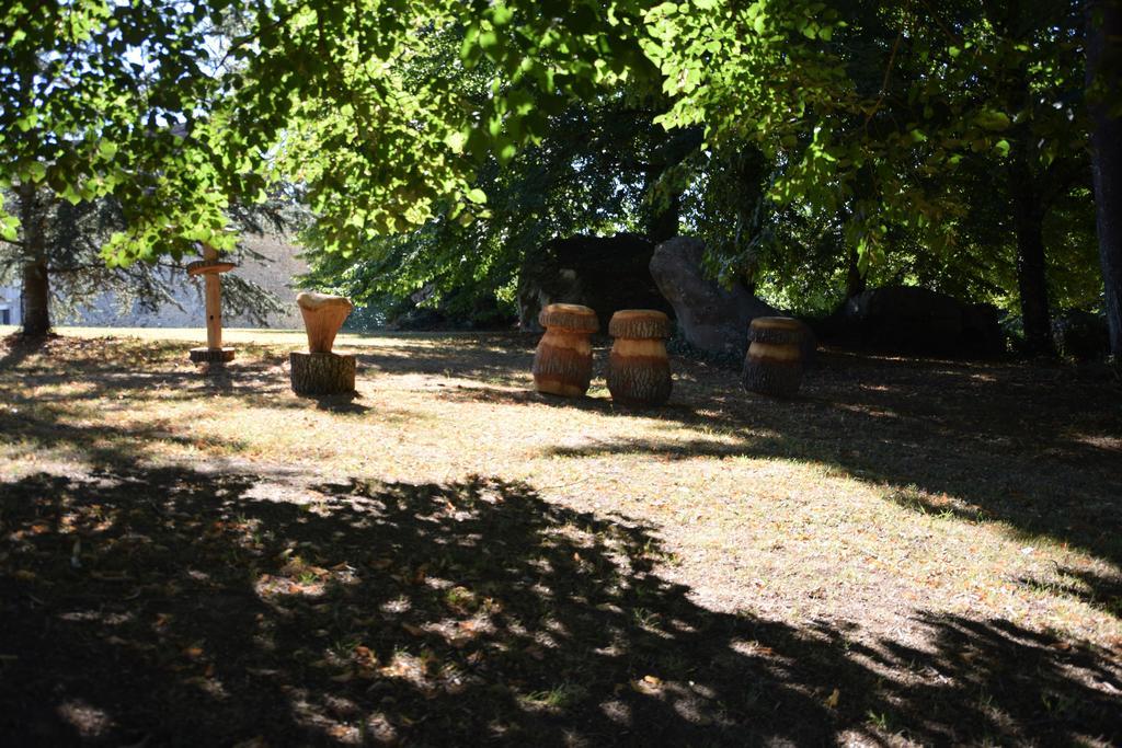 Bed and Breakfast Domaine De La Rocque à Liorac-sur-Louyre Extérieur photo